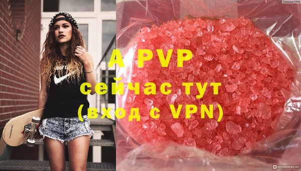экстази Бикин
