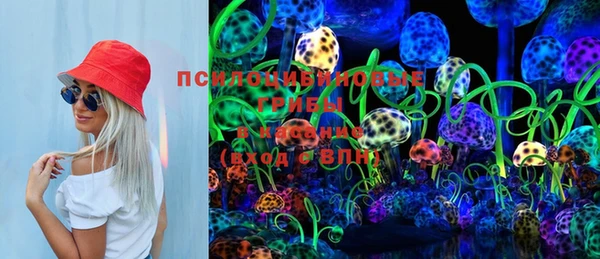 винт Осташков