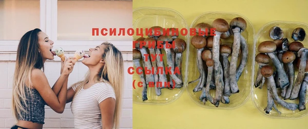 не бодяженный Армянск