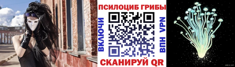Псилоцибиновые грибы Cubensis  Балашов 