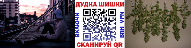 кракен как войти  наркотики  Балашов  Бошки марихуана марихуана 